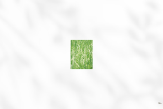 季節と記憶を紡ぐフレンチレストラン藤屋1935