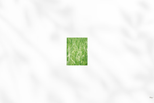 季節と記憶を紡ぐフレンチレストラン藤屋1935