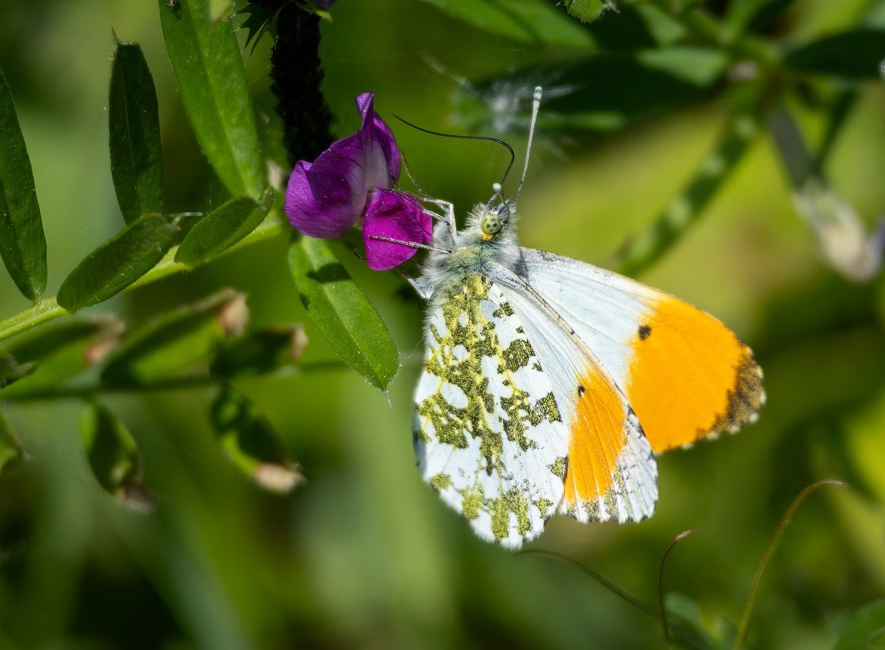 ポイント4: コミュニケーションの質