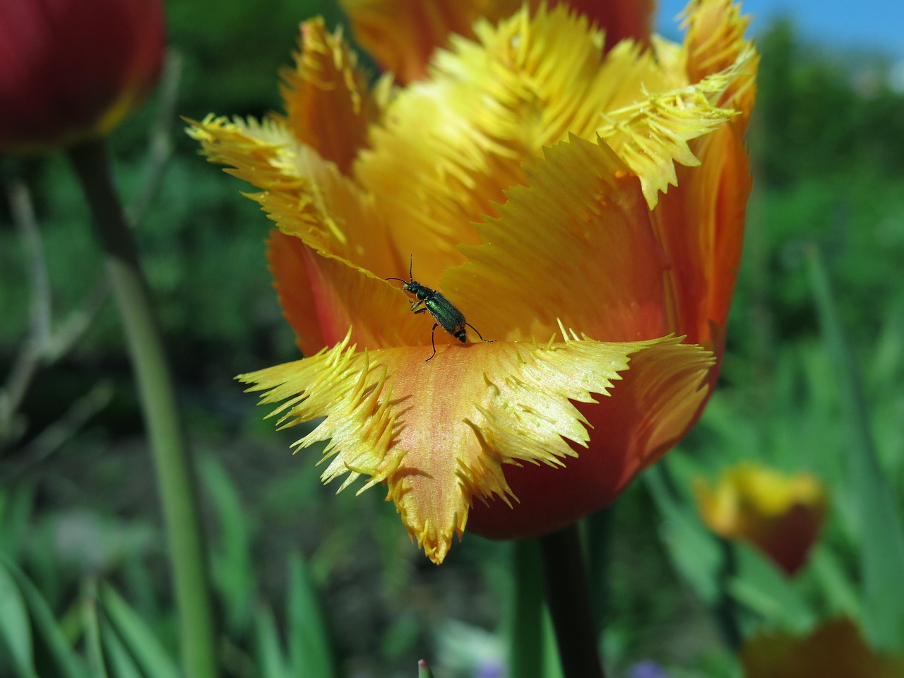 ポイント5: アフターサポート体制