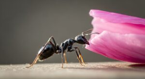 マイクロインタラクションの事例10選と実装ポイント【2026年】