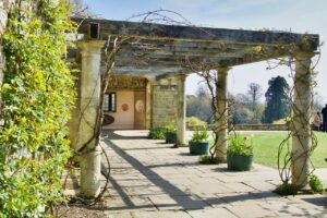 Figmaおすすめプラグイン10選｜デザイン効率が劇的に変わる【2026年版】