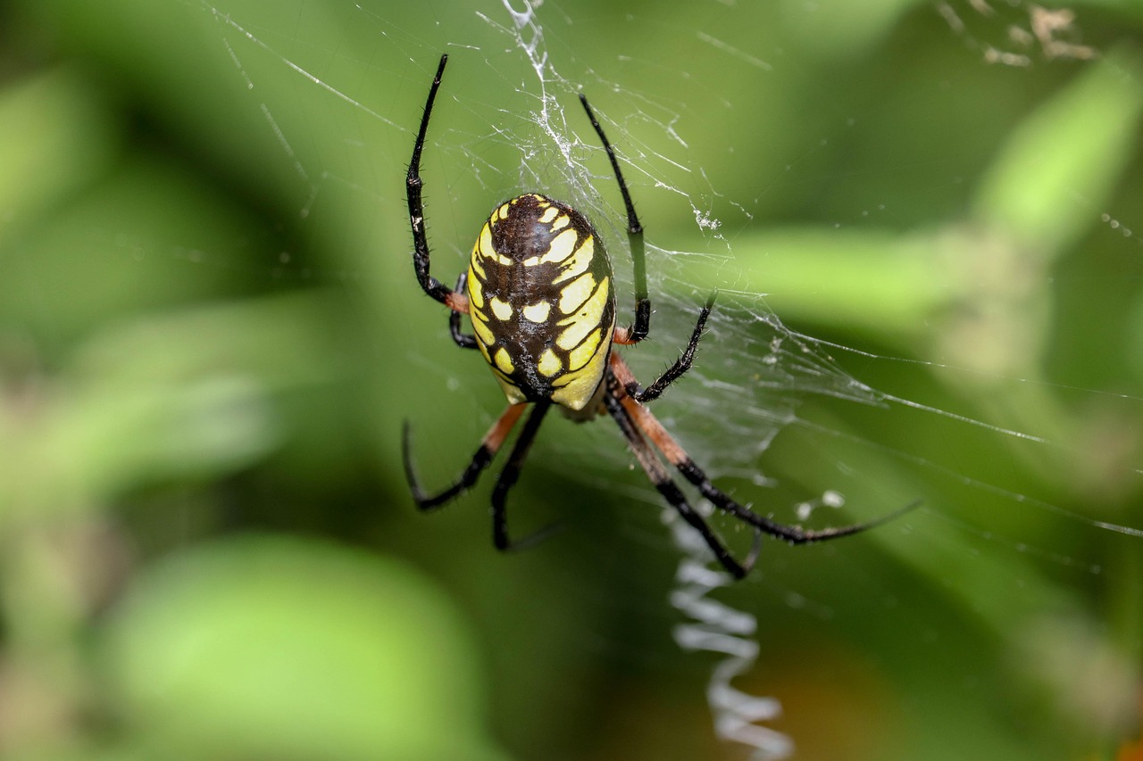 デザイン事例10選