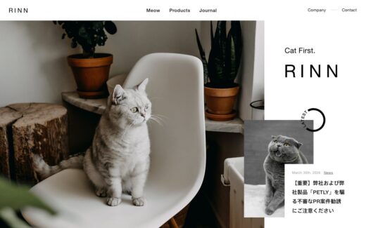 RINN Inc.