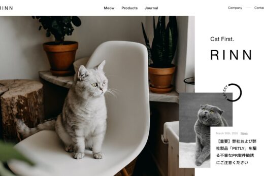 RINN Inc.