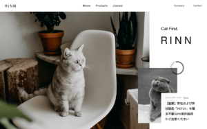 RINN Inc.
