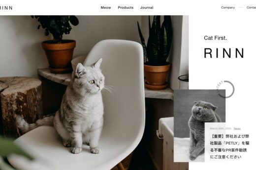 RINN Inc.
