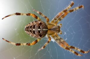 Web制作を依頼する前の準備｜発注者が決めなくていいこと【2026年】